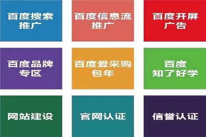 成功案例：SEM推广助力企业拓展海外市场